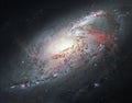 Spiral Galaxy M106, in the constellation Canes Venatici. .Elements of this image are furnished by NASA