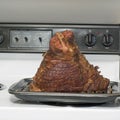 Spiral hickory smoked ham sq Royalty Free Stock Photo