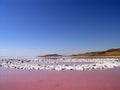 Spiral Jetty inner circles Royalty Free Stock Photo