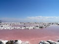 Spiral Jetty inner circles