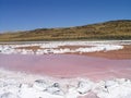 Spiral Jetty inner circles and pink water