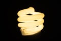 Spiral light bulb, or CFL bulb, glowing in the dark with warm yellow light. Royalty Free Stock Photo