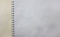 Spiral notebook blank squared white pages. First blank notepad page close up view