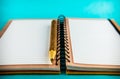 Spiral notebook in lines Royalty Free Stock Photo