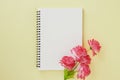 Spiral Notebook and Red Flower on Pastel Yellow Background Royalty Free Stock Photo