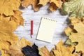 Spiral notepad and pen lies on vintage wooden desk Royalty Free Stock Photo