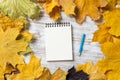 Spiral notepad and pen lies on vintage wooden desk Royalty Free Stock Photo