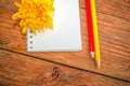 Spiral notepad, red and yellow pencils and chrysanthemum flower Royalty Free Stock Photo