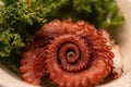 Spiral Octopus Sashimi Royalty Free Stock Photo