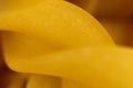 Spiral Pasta Yellow Macro Closeup. Background Texture