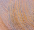 Spiral Patterns on Colorful Rock Formations on The Prospect Trail, Valley Of Fire State Park