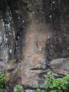 Spiral petroglyph carved in stone in La Zarza nature park archeological site in Laurel forest, laurisilva in the