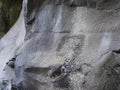 Spiral petroglyph carved in stone in La Zarza nature park archeological site in Laurel forest, laurisilva in the