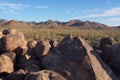 Spiral petroglyph on Signal Hill in Saguaro National Park, Arizona. Royalty Free Stock Photo