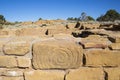 Spiral Petroglyphs in Mesa Verde National Park