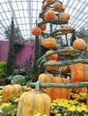 Spiral pumpkins by halloween