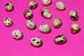 A spiral of quail eggs on a textured pink background Royalty Free Stock Photo