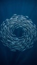 Spiral school fish underwater formation Royalty Free Stock Photo