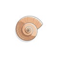 Spiral seashell illustration with a smooth Royalty Free Stock Photo