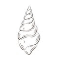 Spiral seashell logo in line art style. Marine twisted sea shell. Underwater shellfish. Vector illustration isolated on