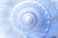 Spiral shell abstract Royalty Free Stock Photo