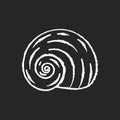 Spiral shell chalk white icon on black background Royalty Free Stock Photo