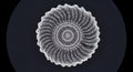 Spiral shell displaying a complex, symmetrical pattern with translucent, curved Royalty Free Stock Photo