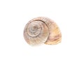 Spiral snail house or shell isolated on white background. Royalty Free Stock Photo