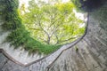 Spiral staircase of underground crossing and the tree over in tunnel at Fort Canning Park, Singapore Royalty Free Stock Photo