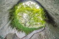 Spiral staircase of underground crossing and the tree over in tunnel at Fort Canning Park, Singapore Royalty Free Stock Photo