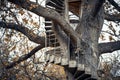 spiral staircase wrapping around a tree leading to a treehouse