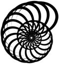 Spiral volute, snail shape, element. Rotating, twirling abstract Royalty Free Stock Photo