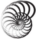 Spiral volute, snail shape, element. Rotating, twirling abstract Royalty Free Stock Photo