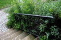 spiral warehouse overgrown with sage bushes. garden stairs romantic