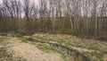 Spiraling river in spring next to woods