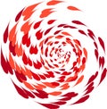 Spiralling koi carp illustration Royalty Free Stock Photo