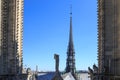 The spire of Notre Dame de Paris