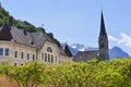 The spire of Vaduz Cathedral on the background of alpine peaks