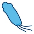 Spirillum Bacteria vector concept minimal blue icon or symbol