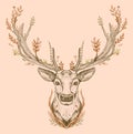 Spirit of the forest graphic sketch illustration, deer portrait with big antlers Royalty Free Stock Photo