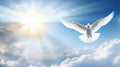 Spirit of god background banner panorama - White dove with wings wide open in the blue sky air with clouds and sunbeams Royalty Free Stock Photo