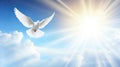 Spirit of god background banner panorama - White dove with wings wide open in the blue sky air with clouds and sunbeams Royalty Free Stock Photo