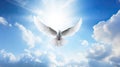 Spirit of god background banner panorama - White dove with wings wide open in the blue sky air with clouds and sunbeams Royalty Free Stock Photo