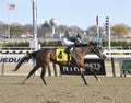 Spirit Lets Hearit winning at Aqueduct