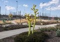 `Spirit of Play` by May and Watkins Design, multiple pieces at Spirit Park in the City of Allen, Texas.
