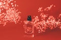 Spirits with live branches of gypsophila coral color