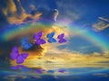 Spiritual background for meditation with butterflies and rainbow in sea reflection