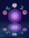 Spiritual background for meditation with life flower and yin yang symbol isolated in color background Royalty Free Stock Photo