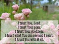 I trust You, Lord. I trust Your plan and goodness. I trust You can see and i can`t. I trust You with it all. Royalty Free Stock Photo