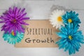 Spiritual growth on wooden board with bright spring colored flowers flat lay
